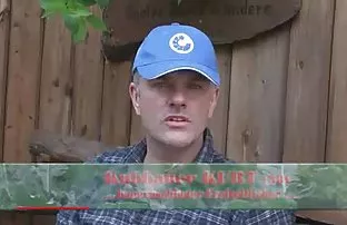 Das Mädchen schaute  ...