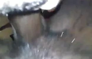 Der junge Maler gefi ...