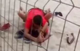 Rothaarige Färse mit ...