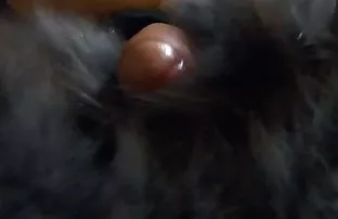 Champagner, mutige B ...