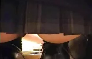 sofort zwei Färsen i ...