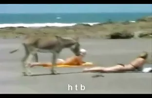 Keine Angst, einen ä ...