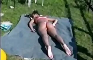 Hündin Freunde zum A ...