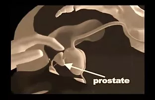 Kommen Sie zu einem  ...