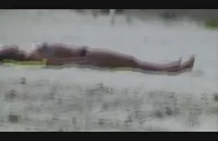 Sex Drive mit doppel ...