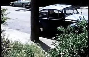 Gefickt im Büro eine ...