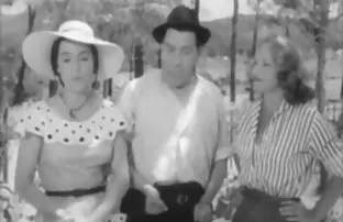 ausschweifendes Stie ...